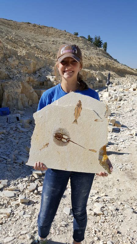 fossil digging in kemmerer wyoming.